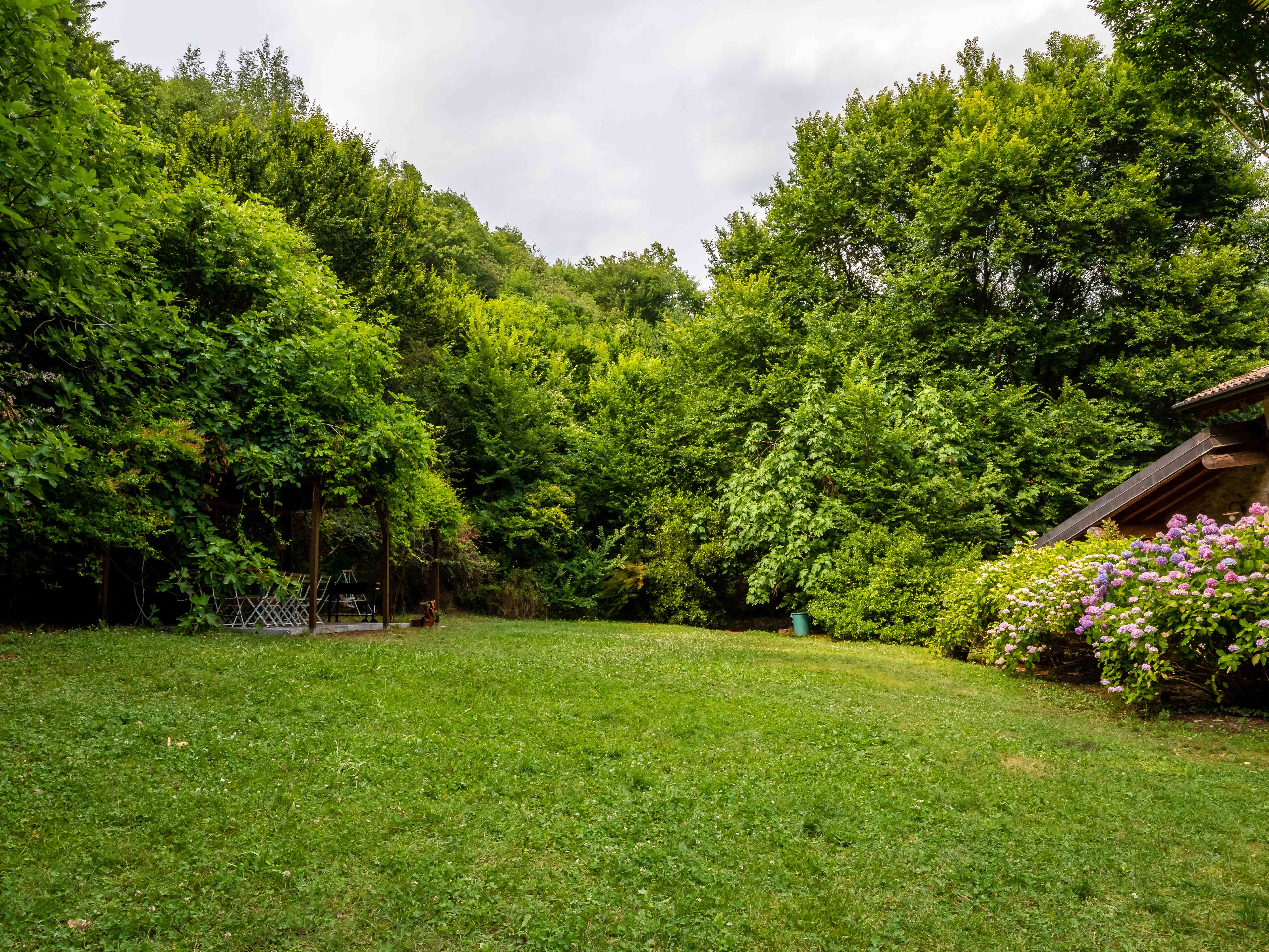 Expansive garden lawn with mature trees and mountain backdrop