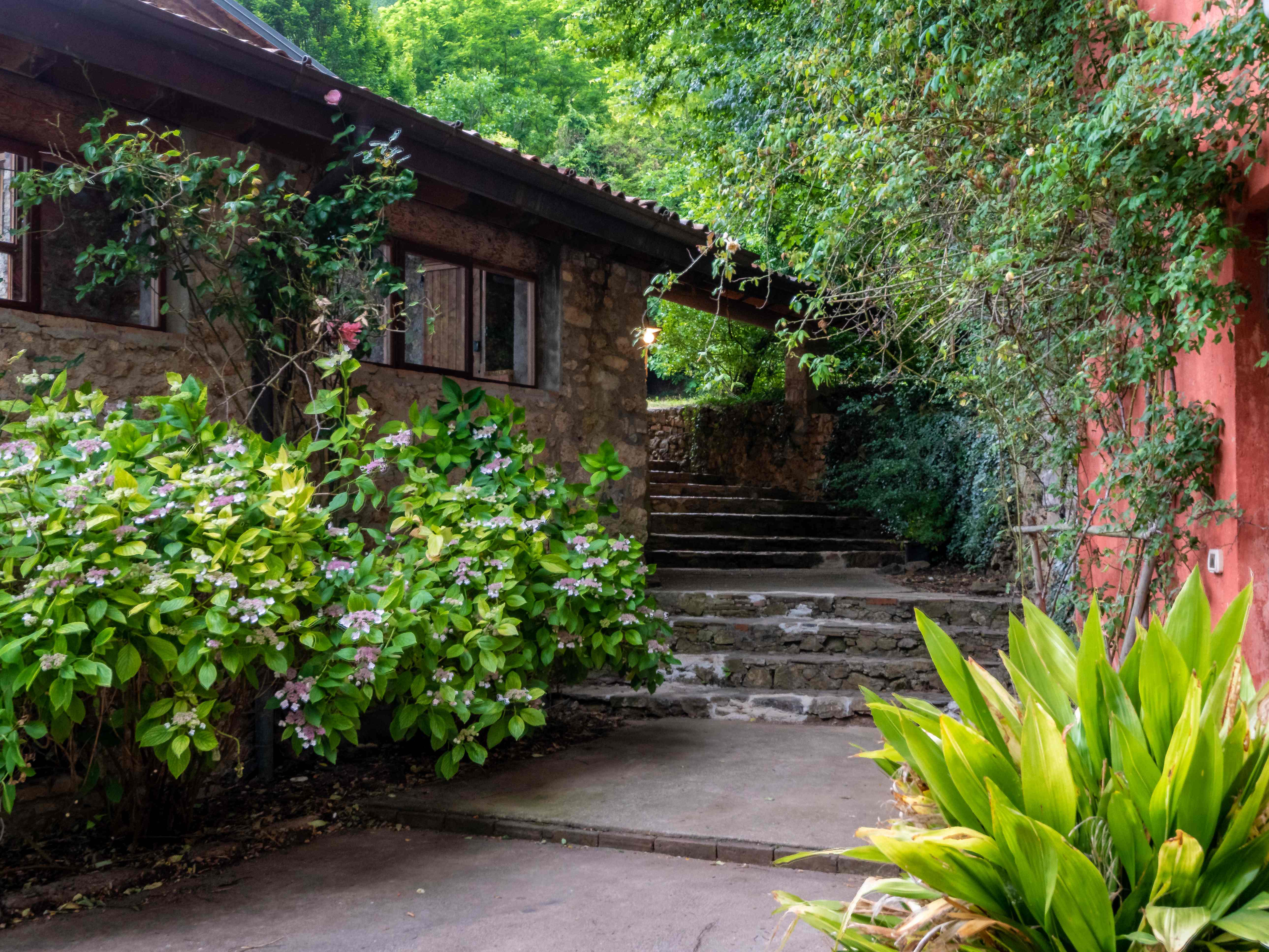Stone pathway winding through Mediterranean gardens